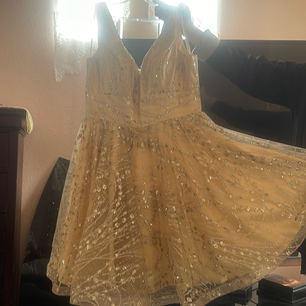 Brand new, worn for a pageants opening number (no stretch)